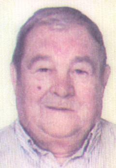 Ramiro Gmez Dez