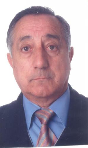 Julio Valles Ayuela