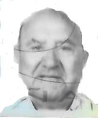 JOSE LUIS ALFREDO GATO FERNANDEZ