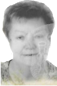 INES SANTIAGO VICENTE
