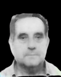 ANGEL ABAD MERINO