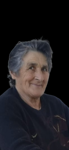 LUDIINA SAIZ PEREZ