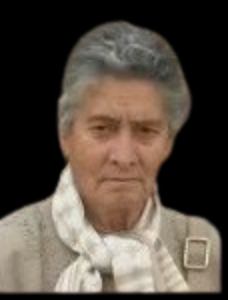 NIEVES CAMPILLO GONZALEZ
