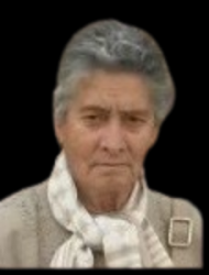 NIEVES CAMPILLO GONZALEZ