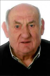 VICTORINO POSTIGO FERNANDEZ