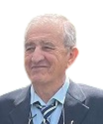 LUIS FERNANDO LANTARON GONZALEZ