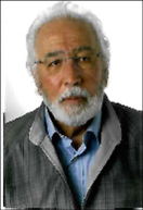 MANUEL VALDIZAN FERNANDEZ