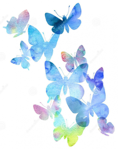 FRANCISCO JAVIER SECO RUBIO