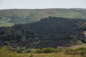 Tierra quemada