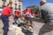 Exhibici�n de deportes rurales