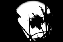Noche de luna llena (Tejo)