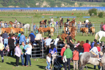 Jornada ecuestre en Requejo