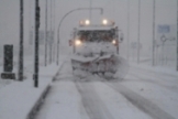 Temporal de nieve en Campoo (Febrero 2016)