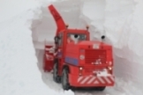 El gigante blanco