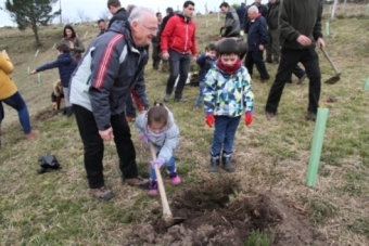 Da del rbol en Campoo de Yuso (2016)