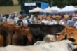 Feria de Ao en Villasuso