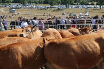 Feria ganadera de Espinilla (2016)