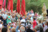 Fiestas de la Virgen de la Velilla (2016)