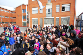 Da Escolar de la No Violencia y la Paz en el CEIP Casimiro Sainz de Matamorosa