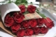 La Rosa en Montesclaros (2017)