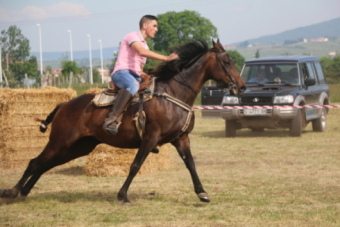 Concentracin de caballos en Salces