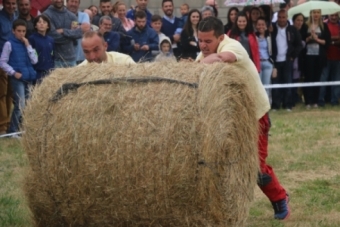 Olimpiada Campurriana (2017)