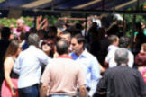 Fiesta de Las Rozas de Valdearroyo