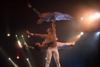 Un da en el Circo Quimera