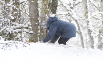 La nieve reaparece en Campoo (29 y 30 de noviembre de 2017)