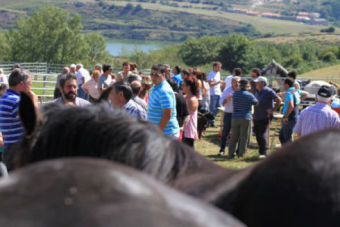 Feria y fiesta en Retortillo