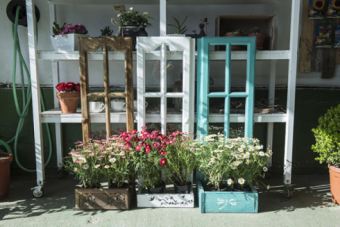 Cultiva la primavera en Sercam Jardinera