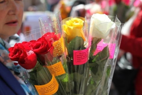 La Rosa en Montesclaros (2018)