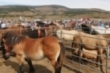 Feria de San Mateo 2018