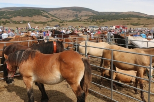 Feria de San Mateo 2018