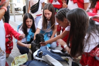 XXIII Concurso Nacional Canino de Reinosa