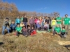 Los voluntarios de Provoca plantan �rboles en la Guariza