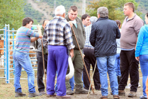 II Feria-Exposicin de Ganado de Santiurde de Reinosa