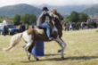 Carrera de caballos Salces (San Antonio 2019)