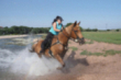 Concentracin caballar en Requejo