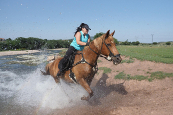 Concentracin caballar en Requejo