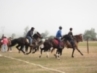 Carrera de caballos y actuacin de los Hermanos Coso