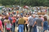 Feria ganadera en Espinilla