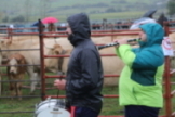 Feria ganadera de Campoo de Enmedio (2019)