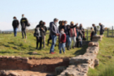 Visita a los ltimos descubrimientos en Julibriga