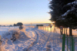 Campoo se hiela a -17.3C
