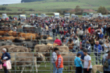 Feria de Ao Campoo de Enmedio (2021)