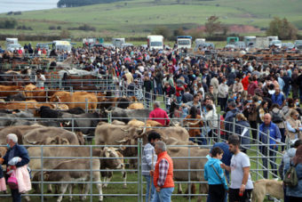Feria de Ao Campoo de Enmedio (2021)