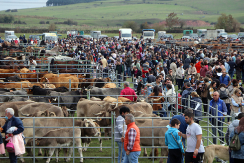 Feria de Ao Campoo de Enmedio (2021)