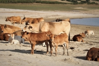 Agosto en el Embalse del Ebro 