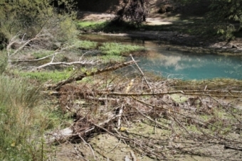 El Nacimiento del Ebro requiere de limpieza y mantenimiento